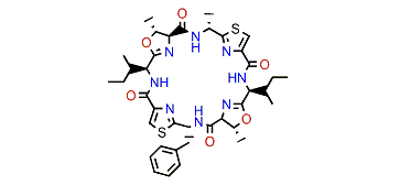 Patellamide B